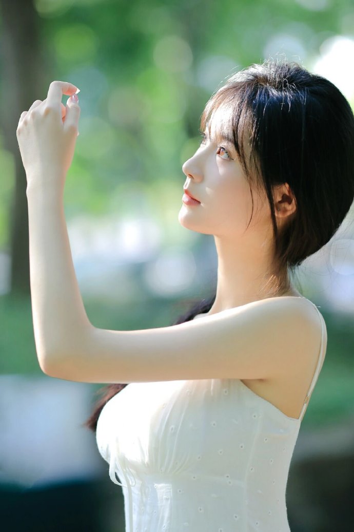我的团长我的团
